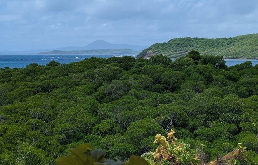 Presqu'Île Caravelle Martinique