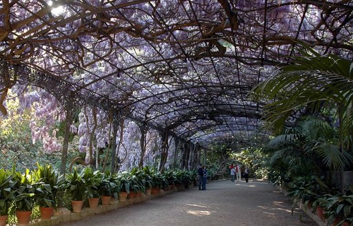 Jardín Botánico - Histórico La Concepción Malaga garden path
