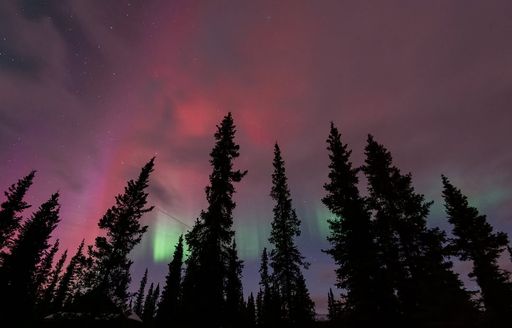 Aurora Borealis in Denali National Park and Preserve