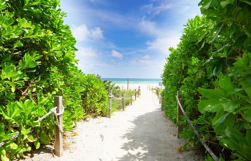 Sandy walkway to a beach