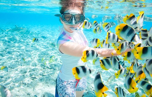 Snorkeller and fish in Tahiti