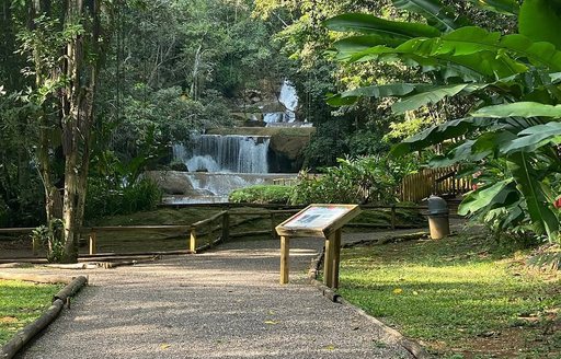 Jamaica - YS Falls waterfall path