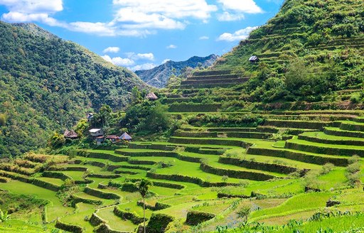 Philippines fields