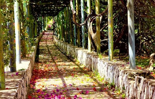 Jamaica - Hope Botanical Gardens path