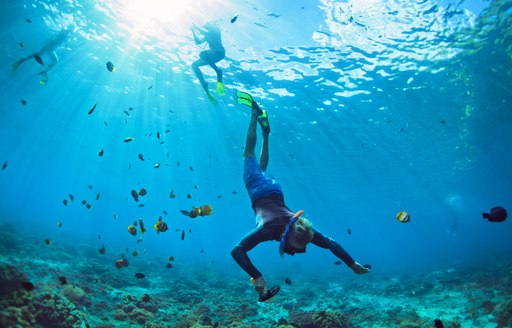 Man in snorkeling mask with camera dive underwater with tropical fishes in coral reef sea pool in Caribbean