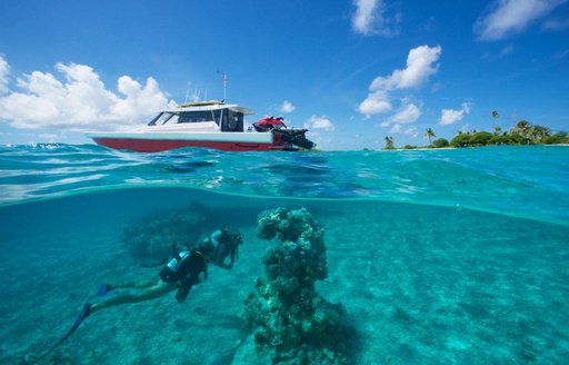 guest aboard expedition yacht SENSES scuba dives in the South Pacific with tender waiting above the water