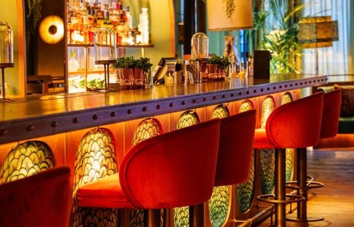 Bar and stools in Amazonico