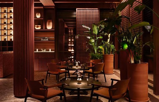 TURK FATIH TUTAK Istanbul AVLU lounge