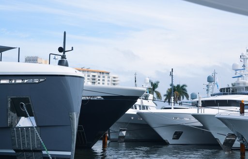 Luxury yachts at FLIBS in the marina