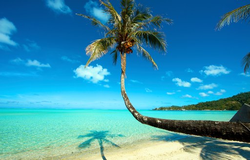 An idyllic beach on Tahiti