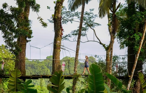 Jardin de Balata Martinique bridge