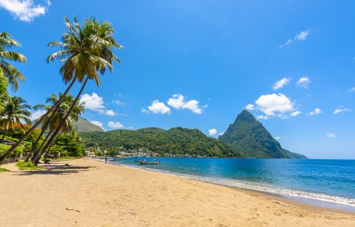 Landscape shot of Caribbean island with palm tree, beach and scenery