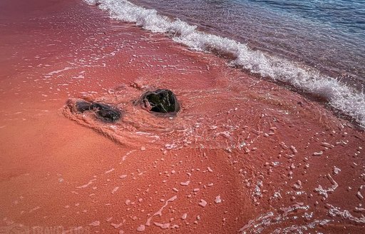 Pink Beach, Komodo Island, Indonesia