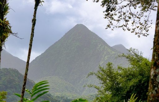 Jardin de Balata Martinique mountains