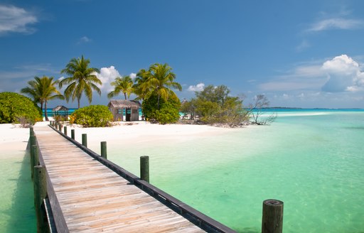 Island in the Bahamas with sandy beach and palm trees