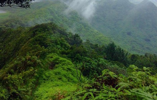 Grenada - Grand Étang National Park mountains