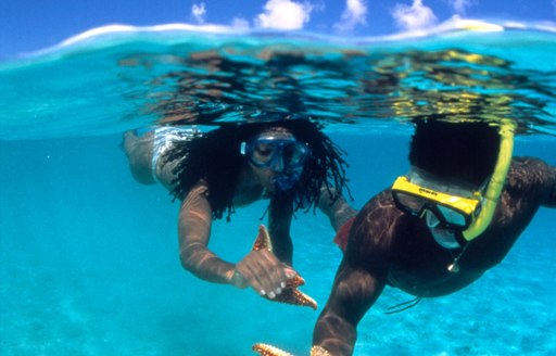 Charter Guests snorkeling in BVI