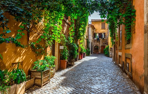 Street in St Tropez in the Mediterranean, with ivy lining the houses