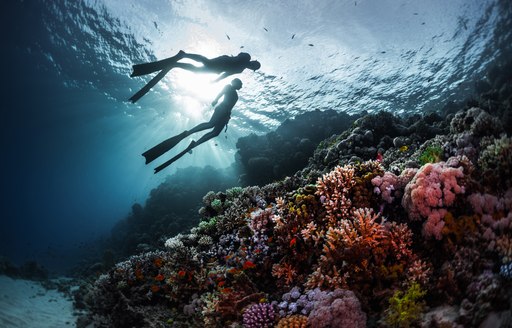 Two freedivers swimming underwater over vivid coral reef. Red Sea, Egypt