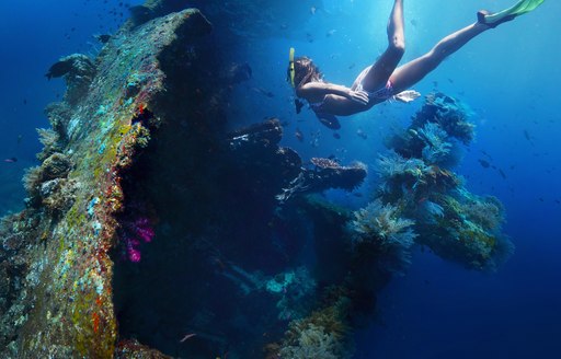 female snorkeler explores fascinating marine life of the Raja Ampat Islands