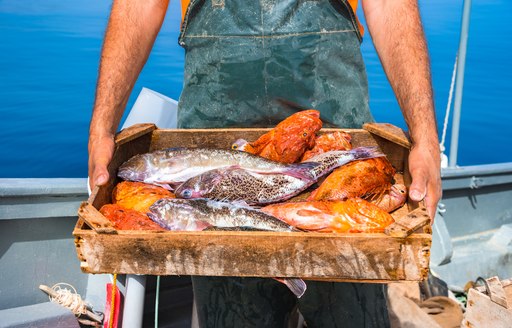 Greek fisherman holding crate with his catch of fish