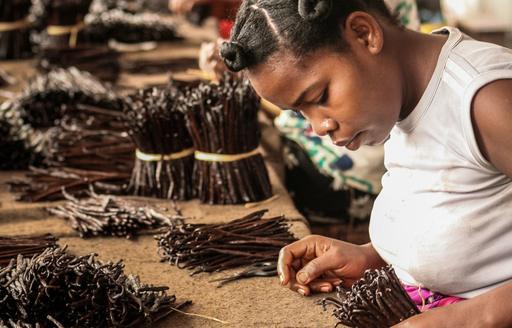 A black female worker sorts through a collection of cinnamon sticks