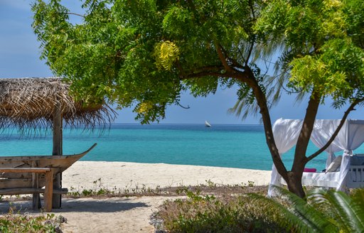 cabana on beach on thanda island, with leafy tree in foreground