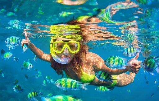 Girl in snorkeling mask dives underwater with school of fish in coral reef, Caribbean