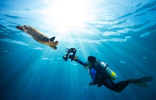 Seychelles diving with a sea turtle