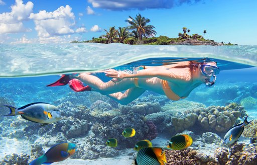 Tropical underwater paradise in the BVI's, as young woman snorkels above the reefs