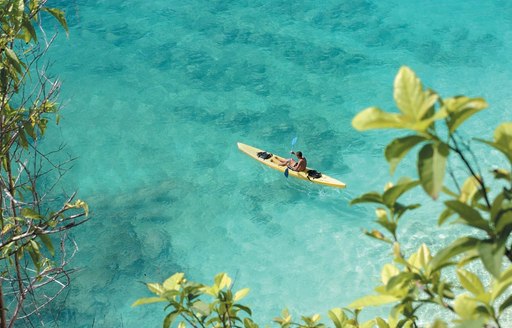 man kayaking on the gorgeous turquoise water buder the leaves of mangrove trees