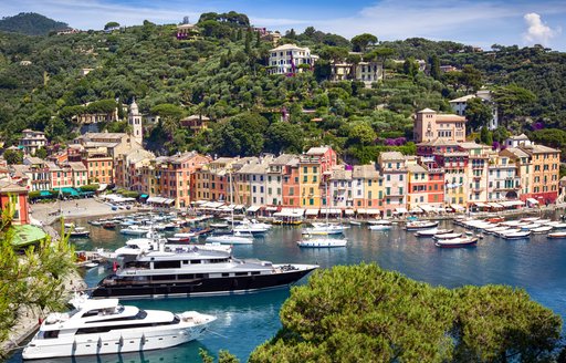 yachts moored in Portofino harbour with buildings and hills in background
