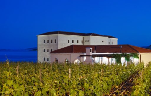 Korta Katarina luxury villa stands alongside vineyards in Croatia