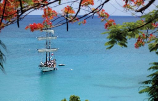 classic sailing yacht on the crisp blue waters of saint martin sea