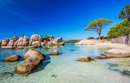 Sandy beach in Corsica, with palm trees on the shore and boulders