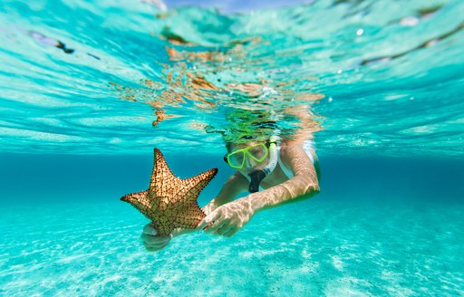 charter guest catches starfish in the usvi
