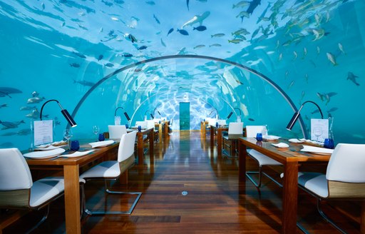 Wooden tables set for meals underwater aquarium at Ithaa Restaurant, Maldives
