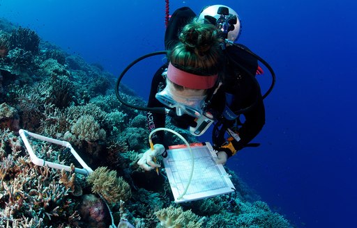 A diver logs research on the Great Barrier Reef in Australia