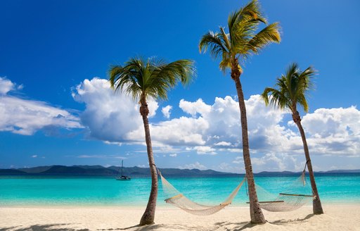 hammocks are tied up between three palm tree on a white sand beach in the British Virgin Islands