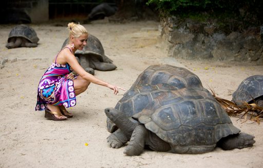 Lady touching turtles in Seychelles