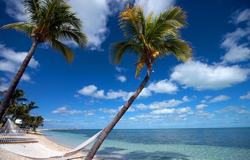 beach in the bahamas