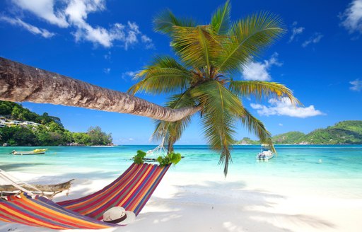 Hammock beneath tree with beautiful clear waters in front