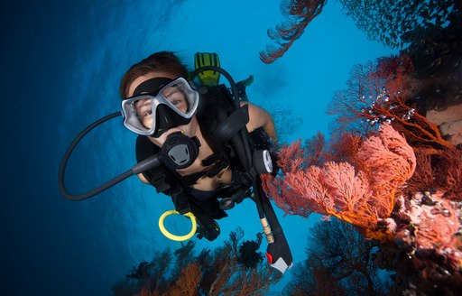 padi certified deep diving