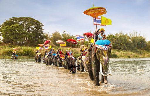 Elephants crossing river in Thailand