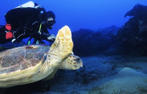 A diver swims alongside a turtle in Turkey