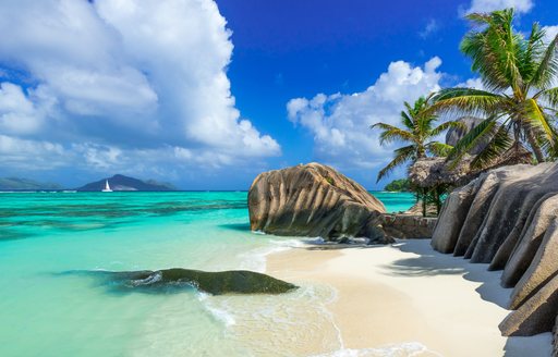 beach in the seychelles with granite boulders and palm trees and clear blue seas