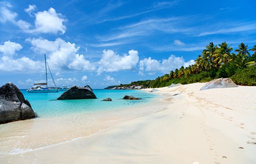 sandy stretch of white beach in the virgin islands, with boulders and palm trees in background and bright blue, clear sea
