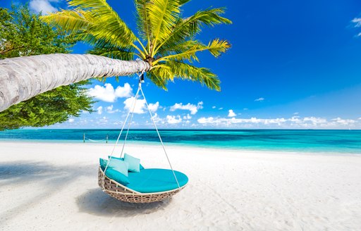 swinging chair hangs from a palm tree on a Bahamas beach