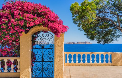 View looking out over the Mediterranean sea, with sandstone streets and bright pink flowers