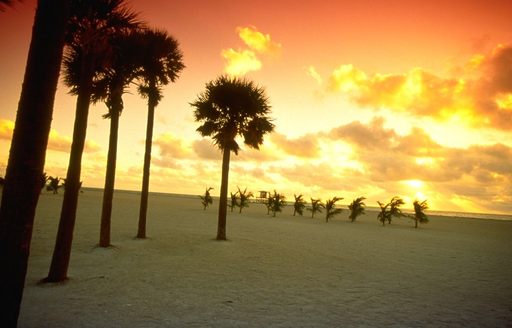 sunset over a deserted Miami beach with palm trees